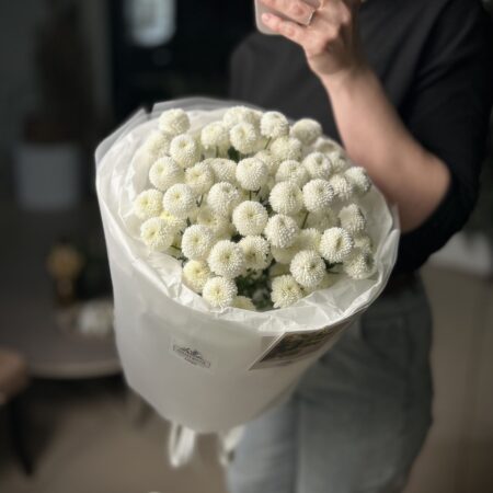 Ньютон - размер М
